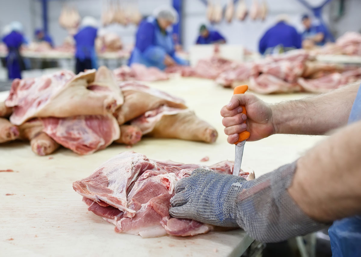 Procesos Industriales del Turia: IFS Food v6.1